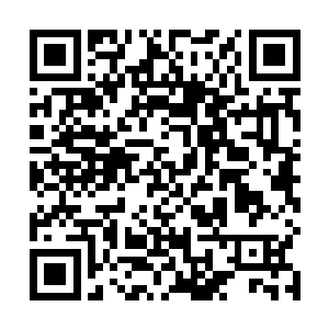 然后用粗重的红线在电脑平面图上重重标出了几个位置二维码生成