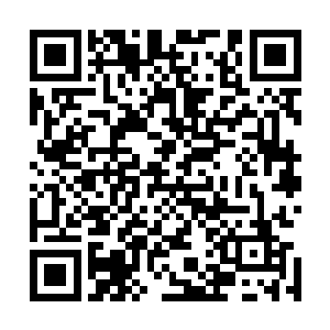 然后用那可怕的复眼小心翼翼地盯着楚旬所在的重型运输车二维码生成