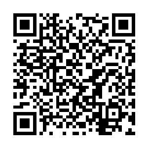 然后用那细瘦饿手指轻微按压了下那枚搏动的珠子二维码生成