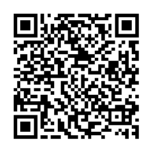 然后立刻就被格罗廖夫和乌里杨科用并列机枪给打死在了地上二维码生成