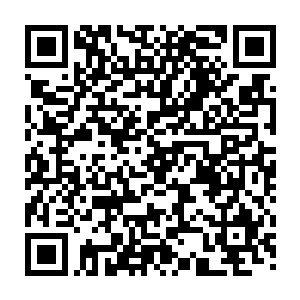 然后细致的感受着周围那些虽然很纯净很正常但是似乎少了某种东西的巨木二维码生成