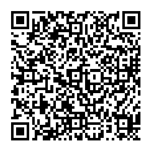 然后脑海中浮现出原主曾经和他相处的场景……或许……这个人能成为原主的良人也说不定呢二维码生成