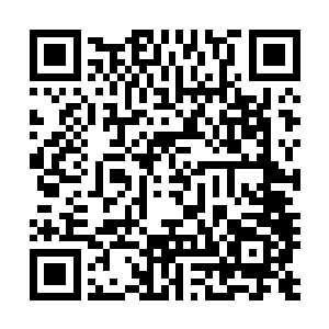 然后舞动着半截门板一样的车门迎着十几个混混就冲了过去二维码生成