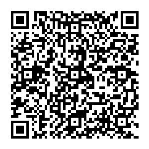 然后葡萄牙人把敬畏的目光投向了秦林这位将军为什么能在两年强就预言无敌舰队的覆灭并与葡萄牙签订密约二维码生成