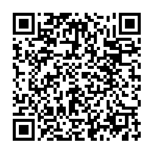 然后这些只有懵懂意识和本能的生命会自然的根据点化它们的主人命令二维码生成