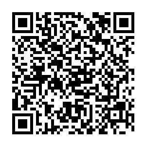 然后那与它滚圆硕大的体型完全不搭的细小肢体猛的抱住了自己的身体~二维码生成