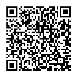 然后都睁着眼睛看到了土狗在水下不断的把迈克的身体顶离水面一次两次三次二维码生成