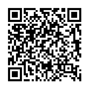 然后陌路离殇就看到几个护卫用一块门板抬着一名昏死过去二维码生成