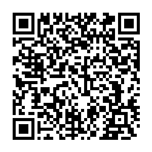 然后非常自然的拿着叉子叉了一口妮娜刚刚咬过的起司蛋糕塞进了嘴里二维码生成