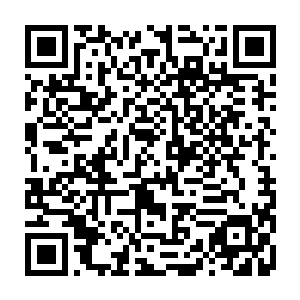 然而不待他问起易红仙人这专门为他调制的一套仙茶十三味到底有何用的时候二维码生成