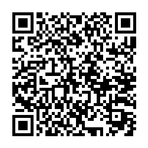 然而仔细看却不难从他肩膀上一块秃了的毛皮下看到黑色的金属结构二维码生成