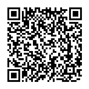 然而只有在这个时候他们才会羡慕那些领悟的法则之力比他们多的仙王强者二维码生成