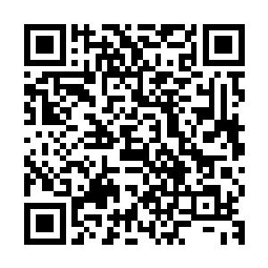 然而在众多游客中寻找一头体型相对娇小的大猩猩是相当困难的二维码生成