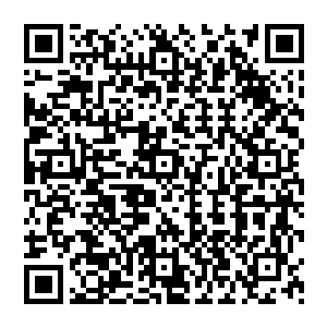 然而在放慢到极致的光度监视器中却根本看不到是什么东西影响到了这些微小粒子的运动轨迹二维码生成