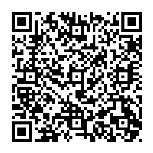 然而对于这些沉浸在宇宙演变过程中的科学家来说却似乎仿若只经历了一瞬的时间二维码生成