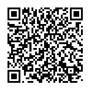 然而小九似乎是没有打算这么轻易的放过几次挑衅自己威严的黑猫二维码生成