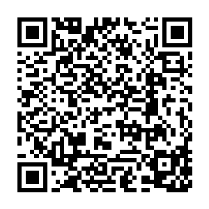 然而就在楚旬等人强忍着那可怕的压迫感也依旧没有任何让步的同时二维码生成
