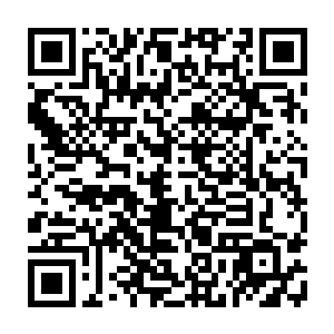 然而当这些家族的合体修士们看到四敞大开的宝库大门以及空空荡荡的内部时二维码生成