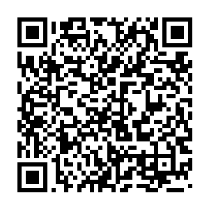 然而所有的议论声随着白起一脚将火灵族的大门给踢碎之后戛然而止二维码生成