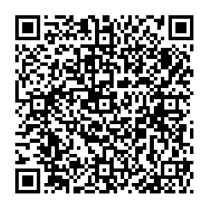 然而撸了好几下毛发现并没有什么卵用的熊蛋一爪子捏着蠢蠢的双脚一爪子拉着他的翅膀把他身体完全拉直的时候二维码生成