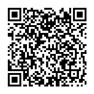 然而沐剑枫与司徒寻磊还并未使出全部的力量便已将对方统统撂倒在地二维码生成