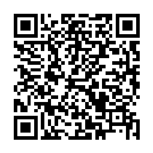 然而现在当他们完全了解了梁笑晓的用意以及做过些什么后二维码生成