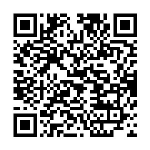 然而眨眼间当看到眼前的两人还是之前那般没有任何动作时二维码生成