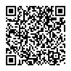 然而眼前的兄弟两听后却是忽然瞪大了双眼有些不敢置信的看着林辰二维码生成