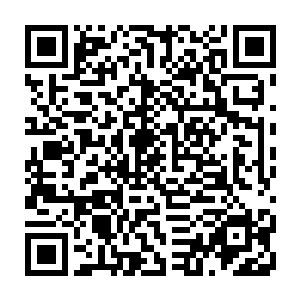 然而那些子弹在距离莫问二人身旁一尺之时全被一股无形的结界力量给挡了下来二维码生成