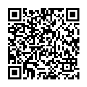 照你的意思……莫不是……便让老夫……不找你爷爷报仇二维码生成