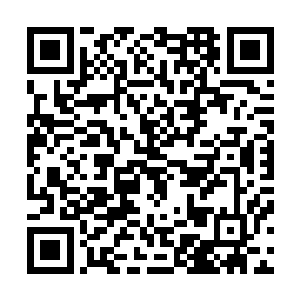 照片在电视墙里循环播放――这可是动用到学校的公共设施二维码生成