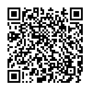 熊熊的火焰一下子就把许多冲到森林之中的数万牛角魔陷了进去……二维码生成