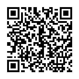 熊蛋和蠢蠢不放心的把勇勇安置在花园一侧的迷宫入口内侧二维码生成