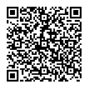燕京中华中医学会会长马老一听欧阳志远问自己用铁背金翅多目蜈蚣皮治疗什么病二维码生成
