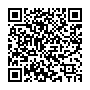 燕京城的男人都得跟牲口似的裸奔着跑来站在咱们家门口任你挑二维码生成