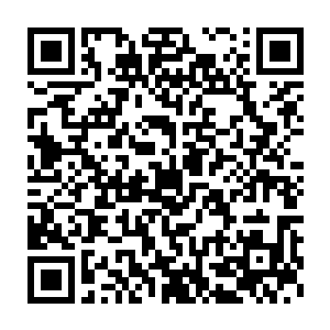 燕妃众多侍卫在看到王屏儿的疯狂模样以及高深的武功后有些退缩二维码生成