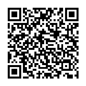 燕正天打算的并不是用真宁公和华容县主来呕心燕离二维码生成