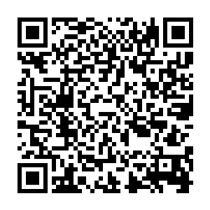 爆发了……爽翻了……极致欢乐了……可秦方却并没有就这样醒来二维码生成