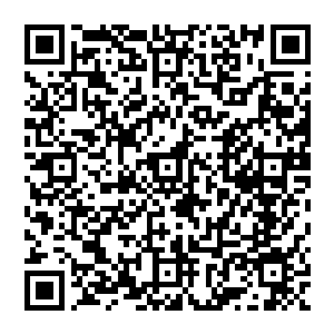 爆发出一阵沉闷的响声……只不过柳贤赫的双臂显然根本没办法完全承受秦方的这一腿的力量二维码生成