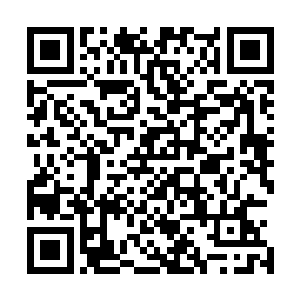 爆开一只血肉修罗王实力已经差不多等于巅峰时候的两成了二维码生成