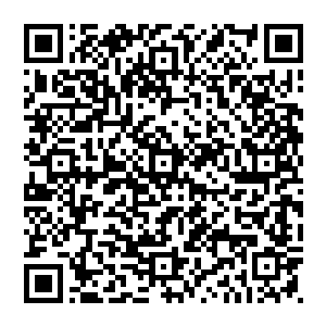 爆炸的火光　从厨房与大厅连接的窗户喷涌了进來　得亏是赵纯良跟罗纳尔多都趴下了　这才沒有被爆炸的冲击二维码生成
