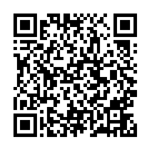 爆熊洛克在力量上还是比他稍微强一点的……这样的情况二维码生成