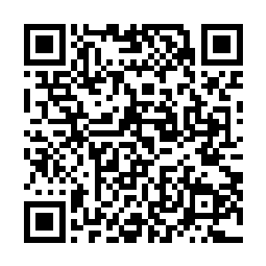 爱多里商业街旅行团的团员们惊讶的发现巨浪忽然消失了二维码生成