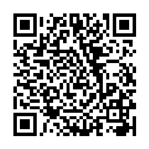 爱娃顿时又觉得和刚才驶离那几部车的档次相差太大二维码生成