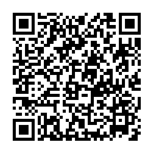 父子三人便在一群侍卫和宫女们的簇拥之下浩浩荡荡地往燕雀塔进发二维码生成