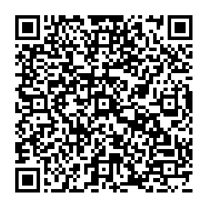 父王已经对本王这大半年来毫无建树甚至连原本已经得到的土地都失去了甚多已经很是不满了二维码生成