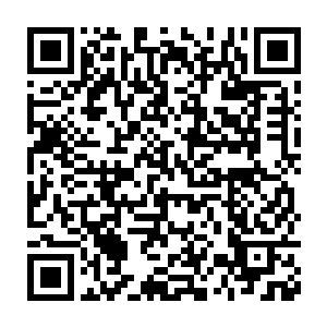 片刻之前热闹非凡的爆炸和哀嚎已经被这死一般的沉寂所彻底取代二维码生成