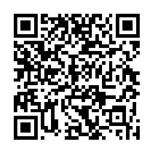 牟晨菲也不会在这个时候提什么让巴克过去住几天的协议二维码生成