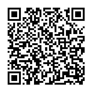 牟晨菲已经极有高瞻远瞩的给feel上了高度集成电脑流程的产业在线系统二维码生成