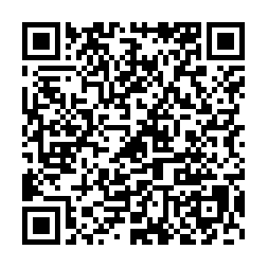 牟晨菲有点东张西望的观察设计事务所那还没挂牌子的中庸温吞模样二维码生成